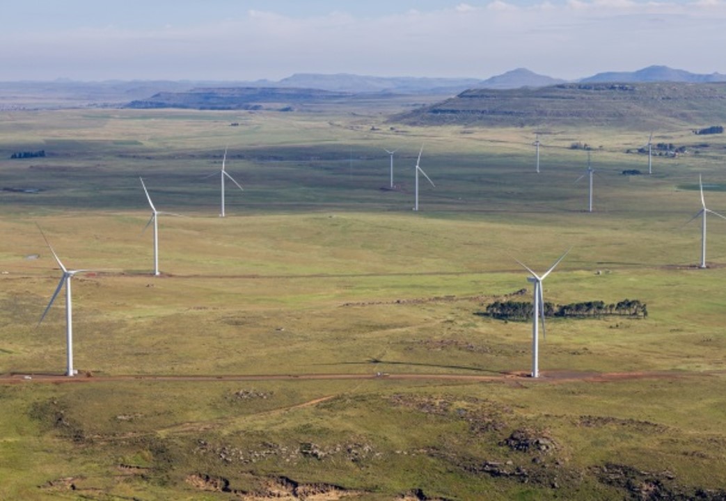 南アフリカDorper風力発電