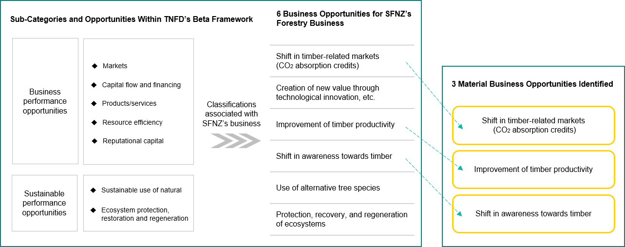 Identifying Nature-related Business Opportunities for SFNZ and Evaluating their Materiality